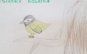 Lekcja przyrody   (1)
