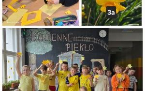 Akcja „Żonkil”  (4)