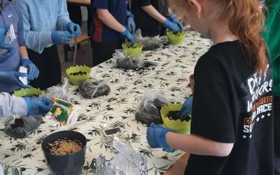 Siejemy dobro i... owies! (4)