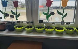 Siejemy dobro i... owies! (1)