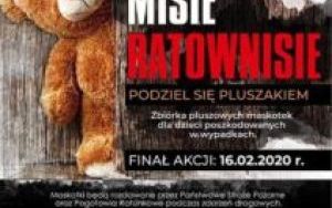 Dzień Pluszowego Misia (10)