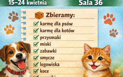 Bezdomnych Zwierząt we Wrocławiu