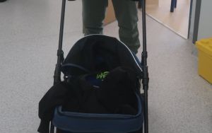 Dzień bez plecaka w Trójce  (9)