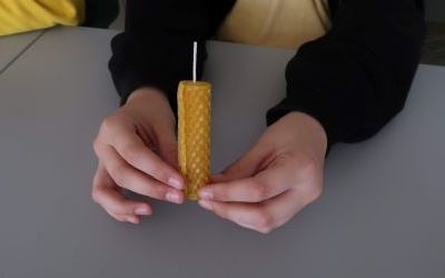 Robaki (9)