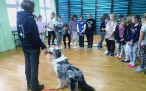 Klasa 3 c uczestniczyła w zajęciach edukacyjnych z udziałem psa wizytującego. (4)