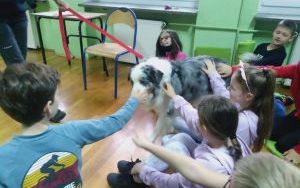 Klasa 3 c uczestniczyła w zajęciach edukacyjnych z udziałem psa wizytującego. (2)