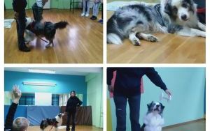 Klasa 3 c uczestniczyła w zajęciach edukacyjnych z udziałem psa wizytującego. (3)